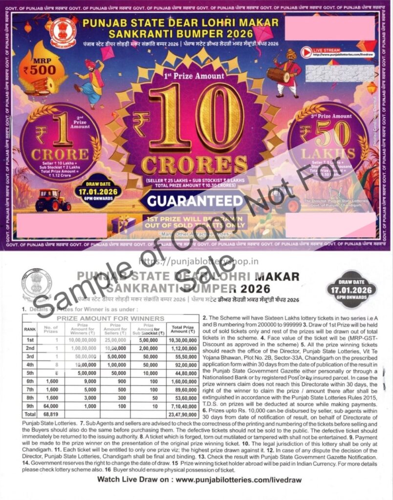 Lohri-Bumper-1-2-804x1024